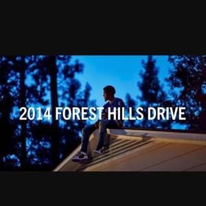 Meet your Posher, Hayden